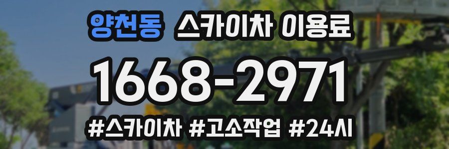 양천동 스카이차 이용료