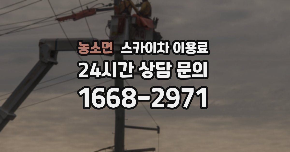 농소면 스카이차 이용료