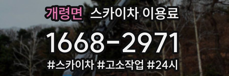 개령면 스카이차 이용료
