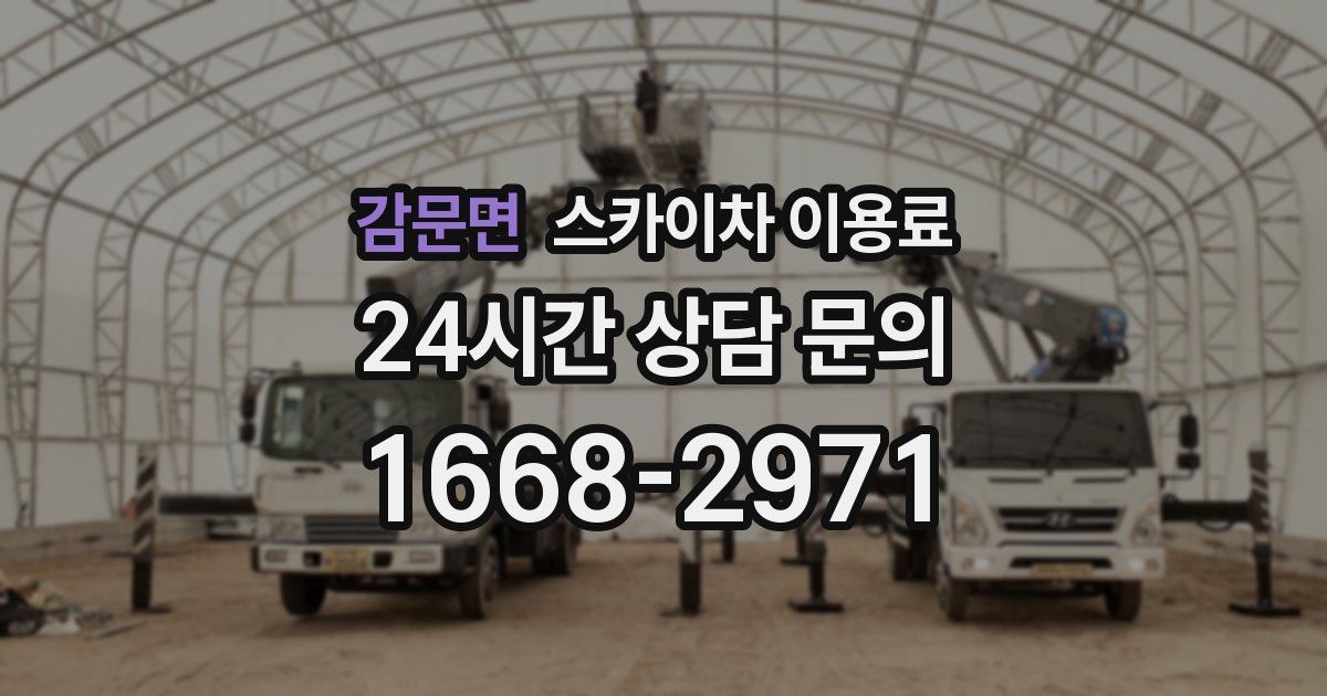 감문면 스카이차 이용료