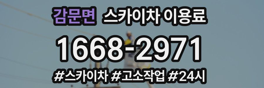 감문면 스카이차 이용료