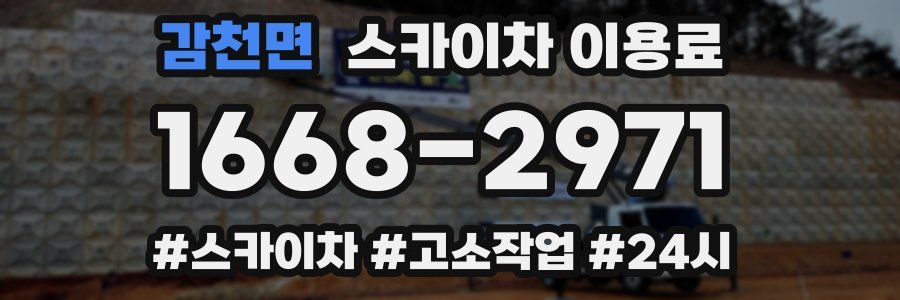 감천면 스카이차 이용료