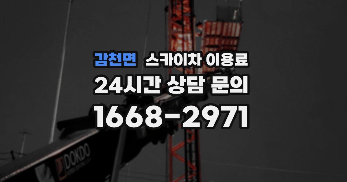 감천면 스카이차 이용료