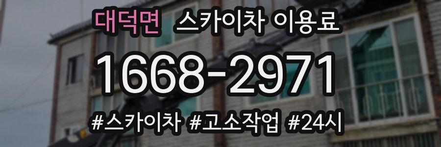대덕면 스카이차 이용료