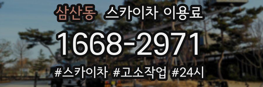 삼산동 스카이차 이용료