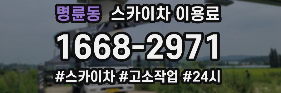 명륜동 스카이차 이용료