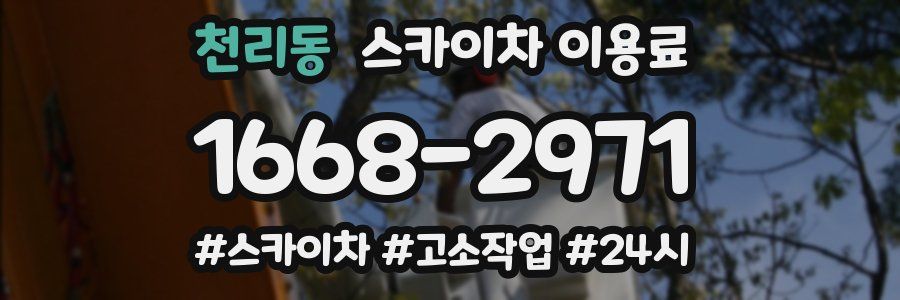 천리동 스카이차 이용료