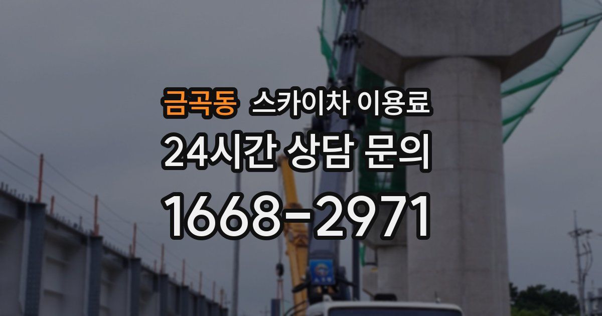금곡동 스카이차 이용료