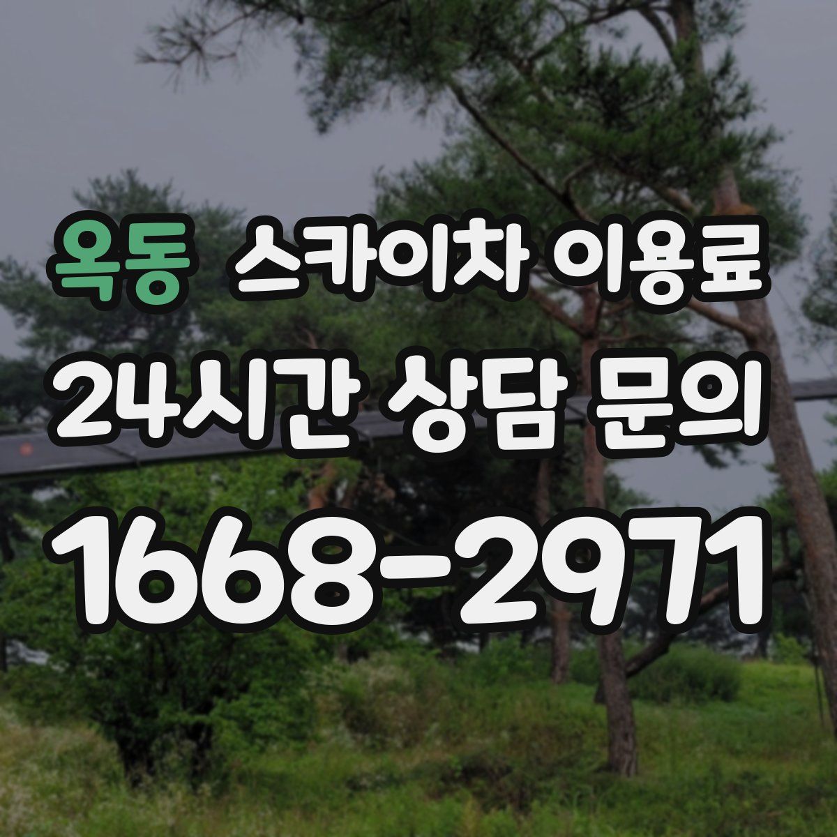 옥동 스카이차 이용료