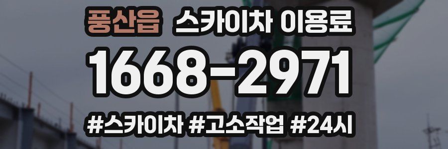 풍산읍 스카이차 이용료