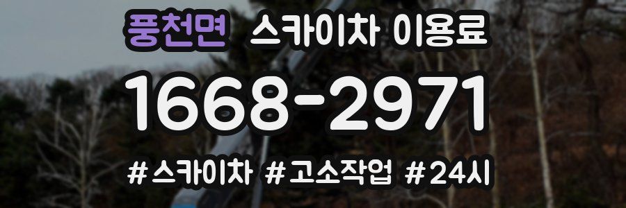 풍천면 스카이차 이용료