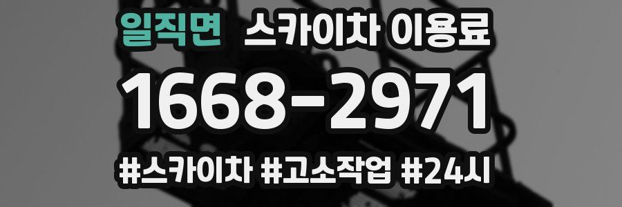 일직면 스카이차 이용료