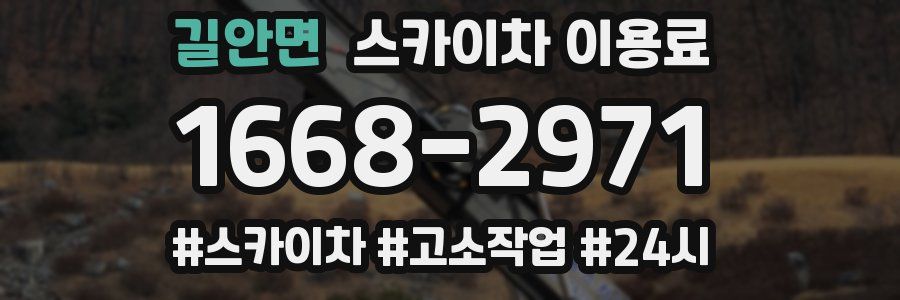 길안면 스카이차 이용료