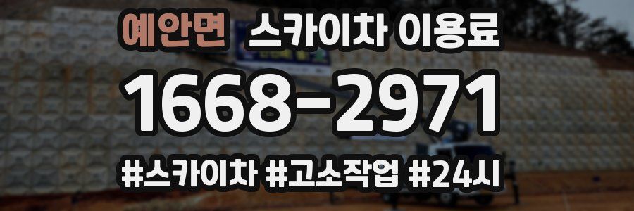 예안면 스카이차 이용료