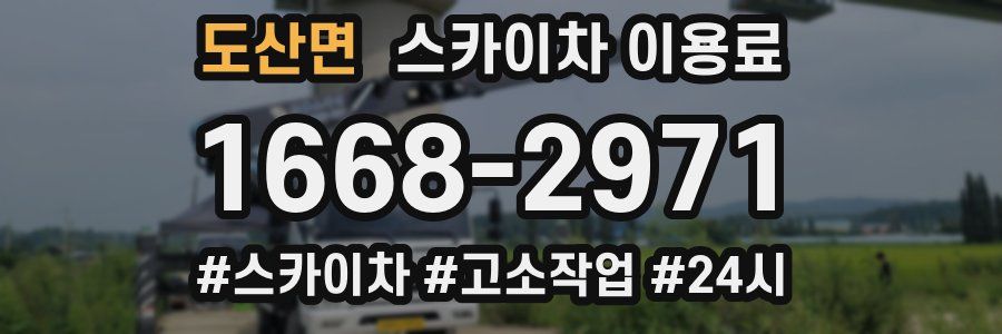 도산면 스카이차 이용료