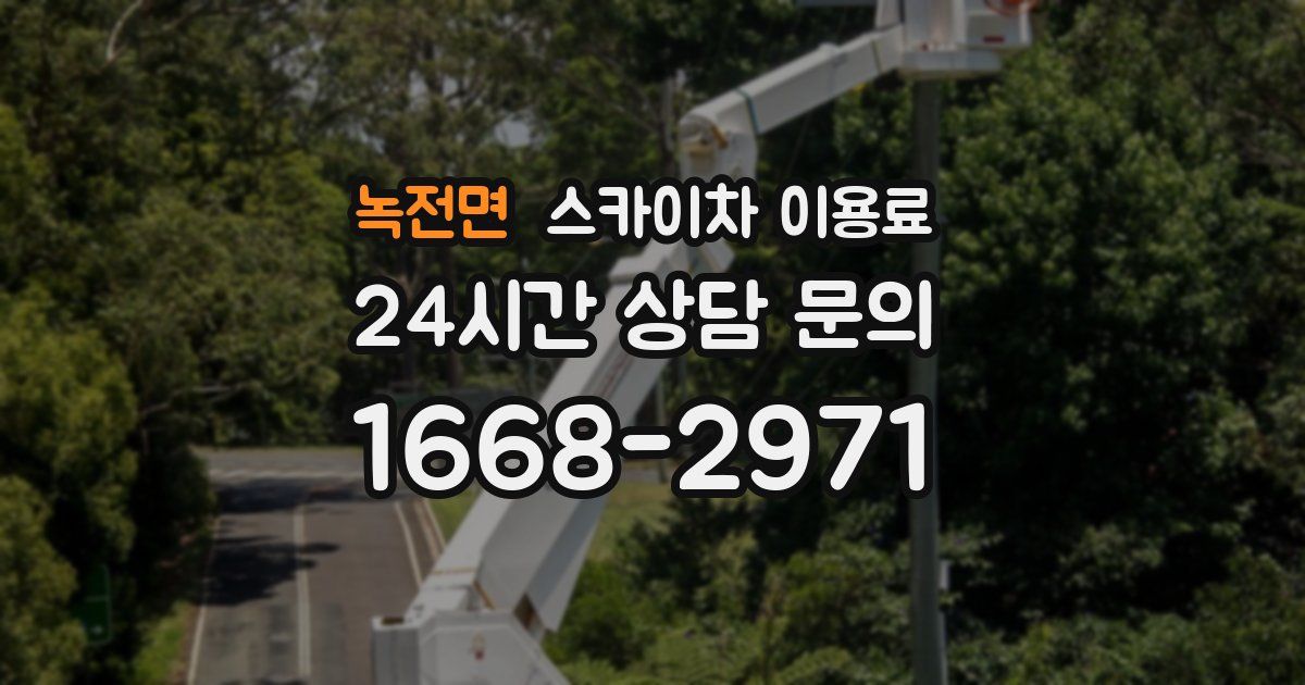 녹전면 스카이차 이용료