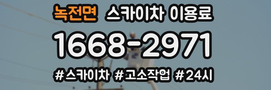 녹전면 스카이차 이용료