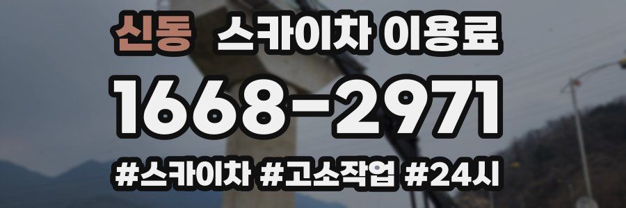 신동 스카이차 이용료
