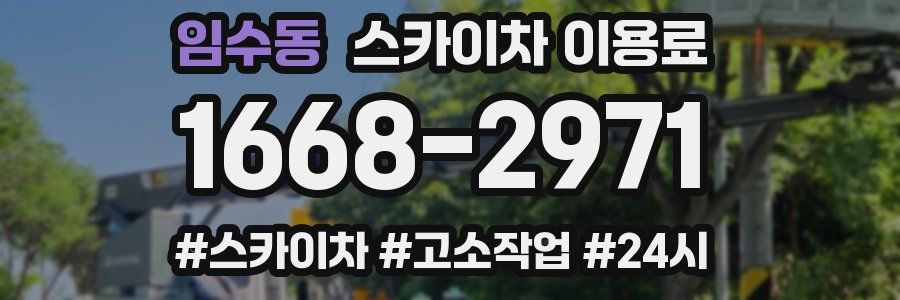 임수동 스카이차 이용료