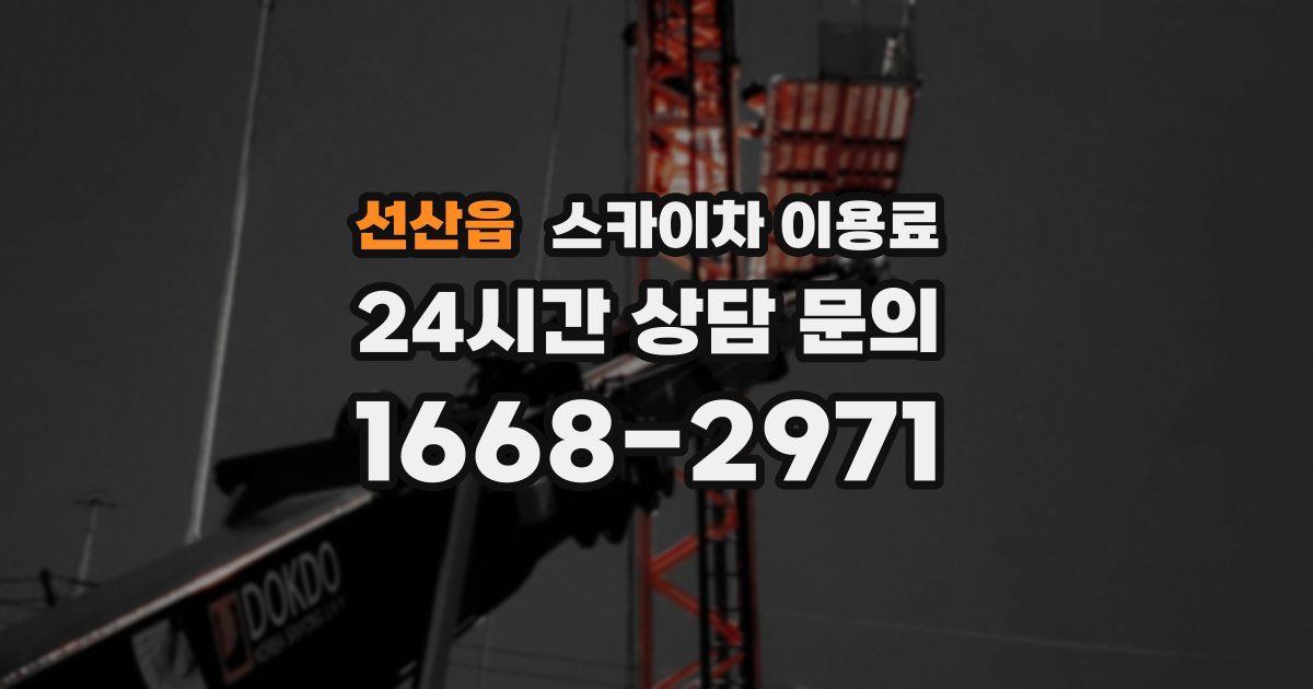 선산읍 스카이차 이용료