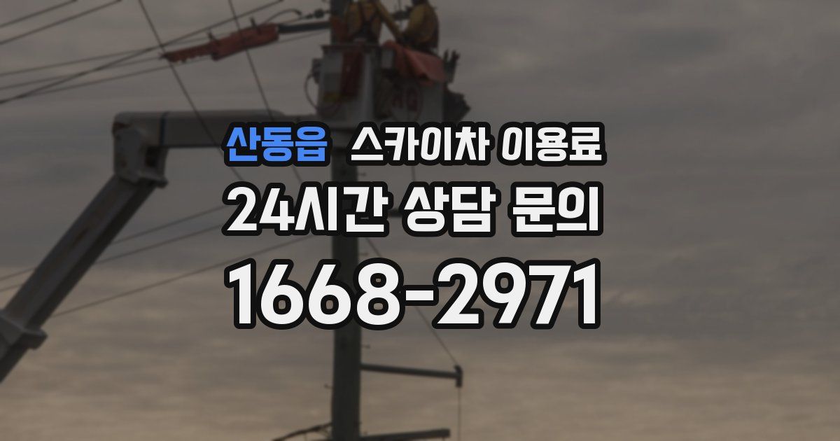 산동읍 스카이차 이용료