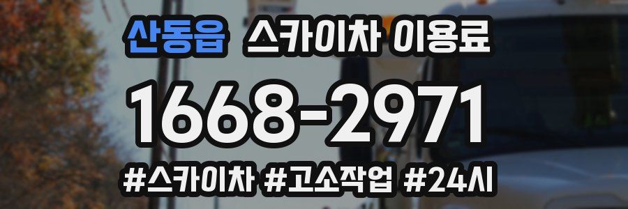 산동읍 스카이차 이용료