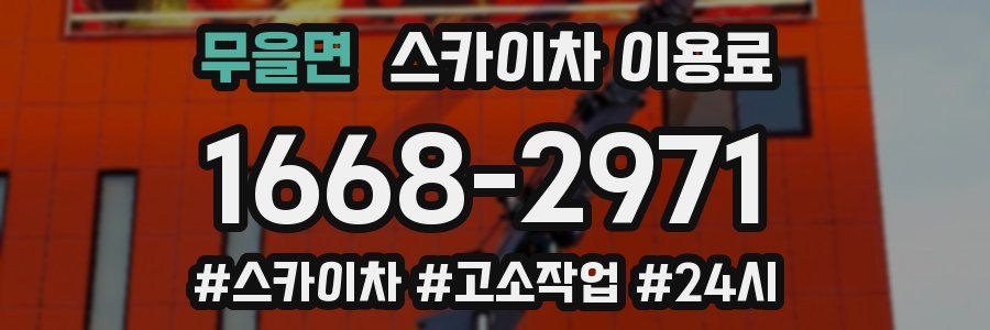 무을면 스카이차 이용료