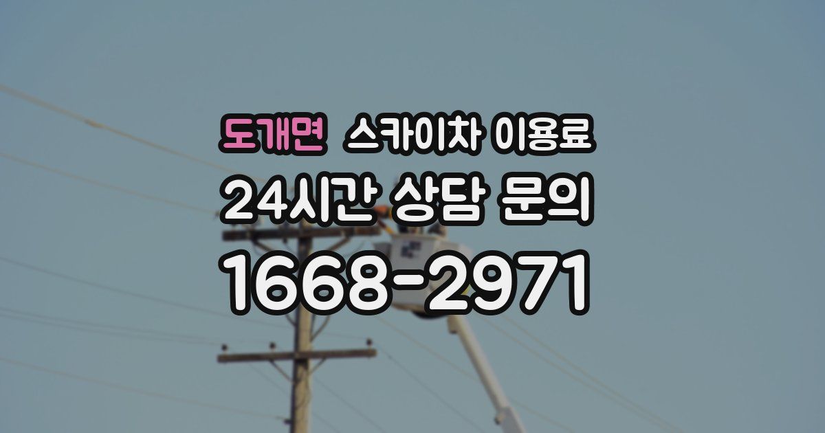 도개면 스카이차 이용료