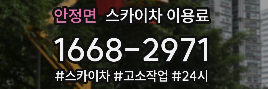 안정면 스카이차 이용료
