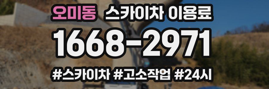 오미동 스카이차 이용료