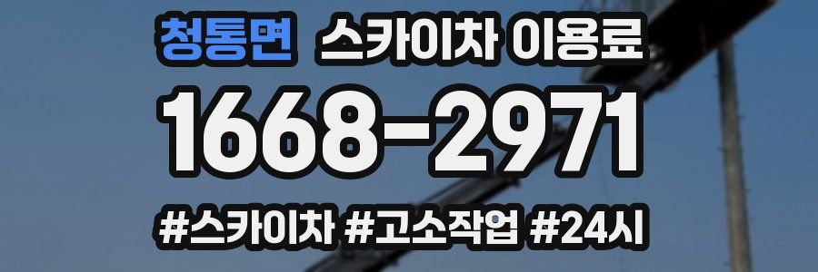 청통면 스카이차 이용료