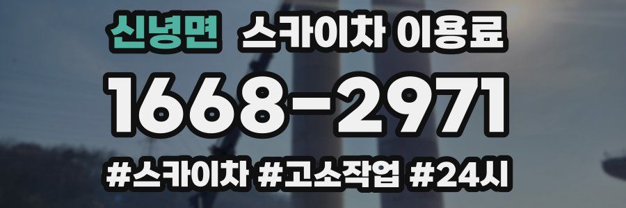 신녕면 스카이차 이용료