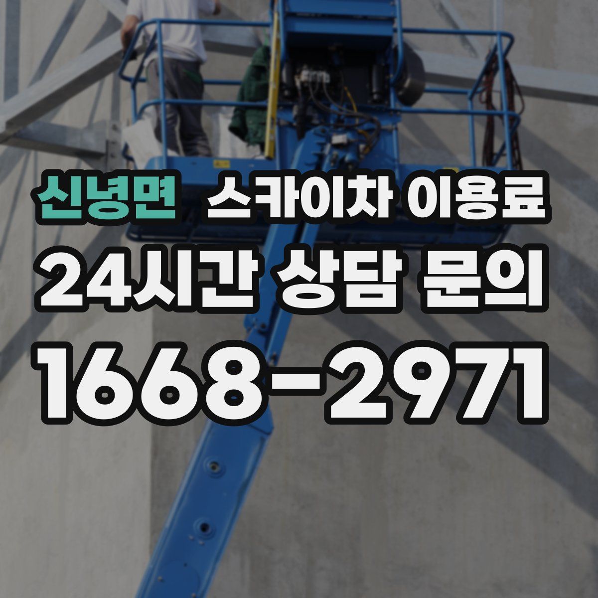 신녕면 스카이차 이용료