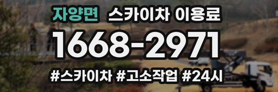 자양면 스카이차 이용료