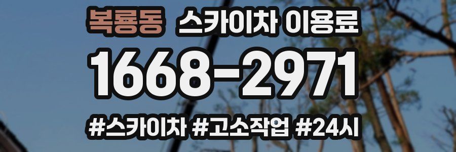 복룡동 스카이차 이용료