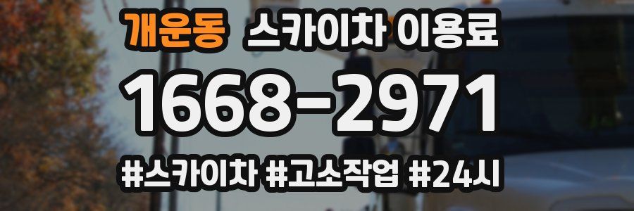 개운동 스카이차 이용료