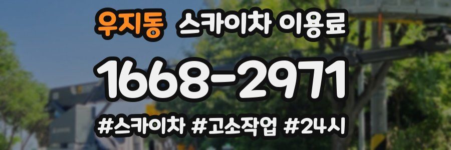 우지동 스카이차 이용료