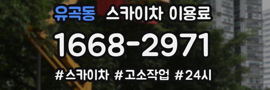 유곡동 스카이차 이용료
