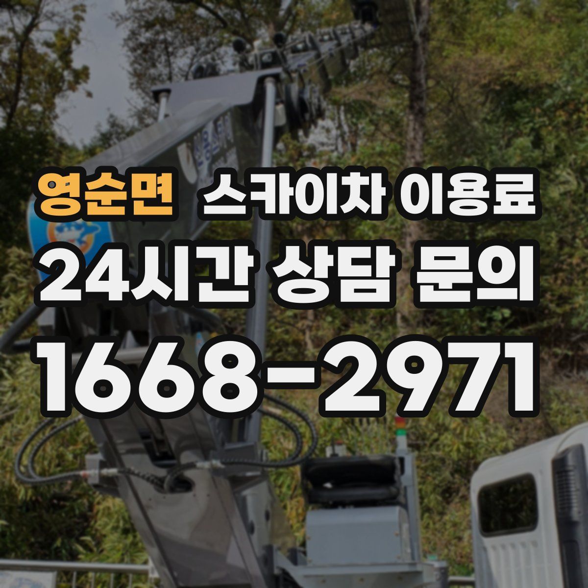 영순면 스카이차 이용료
