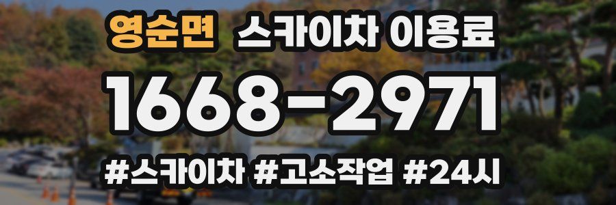 영순면 스카이차 이용료