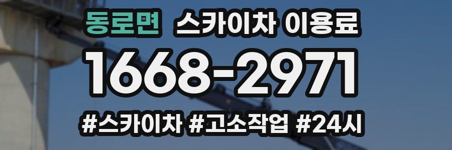 동로면 스카이차 이용료