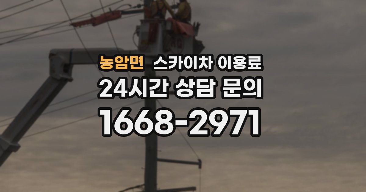 농암면 스카이차 이용료