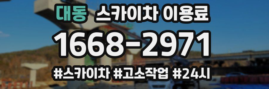 대동 스카이차 이용료