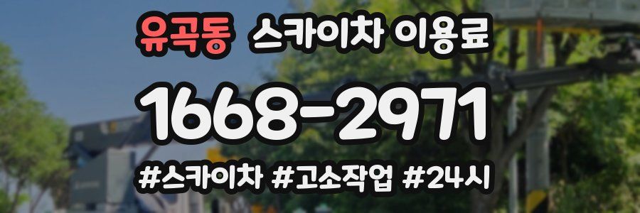 유곡동 스카이차 이용료