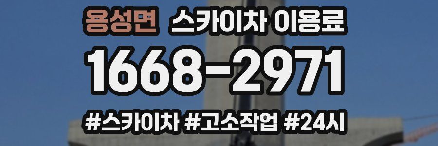 용성면 스카이차 이용료
