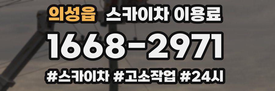 의성읍 스카이차 이용료