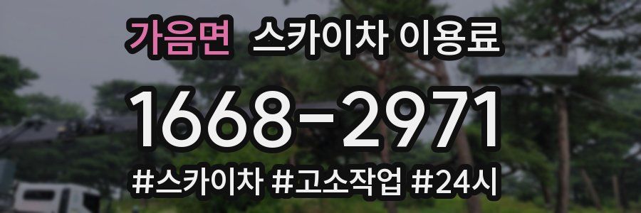 가음면 스카이차 이용료