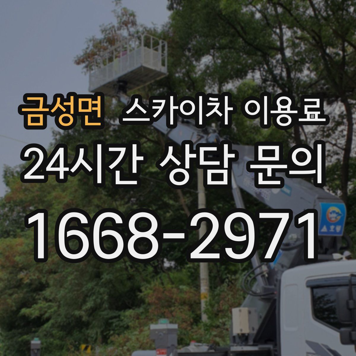 금성면 스카이차 이용료