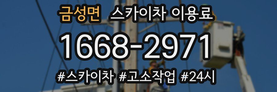 금성면 스카이차 이용료