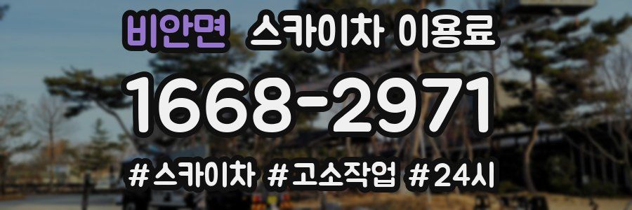 비안면 스카이차 이용료